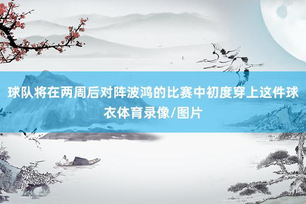 球队将在两周后对阵波鸿的比赛中初度穿上这件球衣体育录像/图片