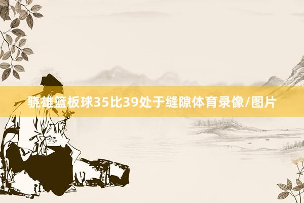 骁雄篮板球35比39处于缝隙体育录像/图片