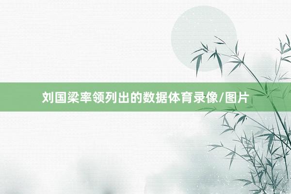 刘国梁率领列出的数据体育录像/图片