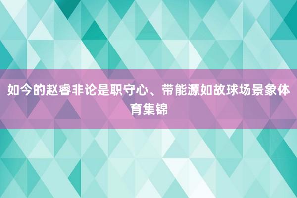 如今的赵睿非论是职守心、带能源如故球场景象体育集锦