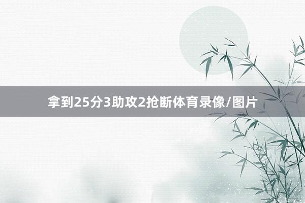 拿到25分3助攻2抢断体育录像/图片