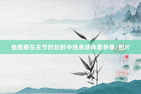 他粗略在关节时刻射中绝杀球体育录像/图片